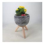 Sarı Kalanşo Kalanchoe & Siyah Bers Ayaklı Beton Saksıda Hediyelik Canlı Çiçek BALFLOWERDESİGN-2578