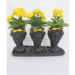 Sarı Kalanşo Kalanchoe & Siyah Trio Helen Beton Saksıda Canlı Çiçek BALFLOWERDESİGN-2792