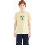 Sarı Nakış İşleme Detaylı O Yaka Standart Kalıp Erkek Çocuk T-Shirt - 11115