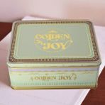 Sarkap Home 3,2 L Golden Joy Dekoratif Metal Saklama Kutusu 217x165x90mm - Krem