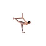 Satva yoga Fly Yoga Hamağı