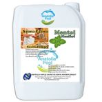 Sauna Buhar Esansı Mentol 5 Lt Anatolıapool Sauna Essence Menthol