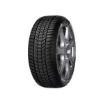 Sava Eskimo Hp 2 205/55R16 91H ( Yıl: 2025 )