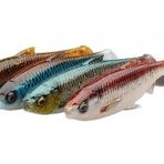 Savage Gear 3D River Roach 12 cm 17 gr Clear Water Mix 4 Adet Jig Yem
