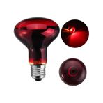 Şavk 250W R125 220V Kırmızı Cam Isı Ampulü