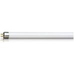 Şavk Sinek Ampülü Floresan 6W Bl T5 22,5 cm Şavk - Mavi - 6 W