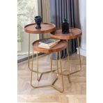 Sawoli Home Polen Gold Zigon Sehpa
