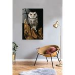 Saydam Baykuş Temalı Cam Tablo, 40X60CM, Şık ve Estetik Dekorasyon Ürünü - Ahşap - Seçenek 1