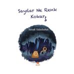 Sayılar Ne Renk Kokar İsmail Aslanhatun