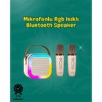 SBN - Store Iki Mikrofonlu Renkli LED Işıklı Karaoke Cihazı - Lisinya