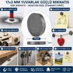 sbodurhome Mıknatıs 17X3 mm Yuvarlak Güçlü Mıknatıs Disk Mıknatıs - Çok Renkli