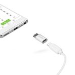 SBS SBS-24577 Micro USB Type-C dönüştürücü Adaptör