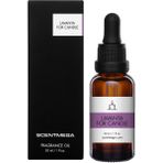 SCENTMEGA Lavanta Esans 30ML