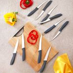 Schafer Quick Chef 10 Parça Bıçak Seti