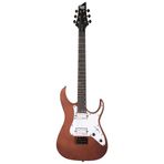Schecter BANSHEE-6 FR SGR Walnut Satin Beyaz Elektro Gitar
