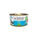 Schesir Jöle İçinde Ton Balıklı 70 gr Yetişkin Kedi Konservesi
