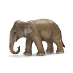 Schleich 17001 Asya Fili Dişi Figür Oyuncak