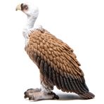 Schleich Kızıl Akbaba Figür Oyuncak