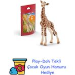 Schleich-Wild Life-Yavru Zürafa + Play-Doh Oyun Hamuru