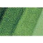 Schmincke 526 Sap Green Mussini Artist Yağlı Boya 35 ml Seri 2