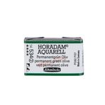 Schmincke 534 Permanent Green Olive Seri 2 Horadam Aquarell 1/1 Tablet Sulu Boya