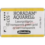 Schmincke 537 Transparent Green Gold Seri 3 Horadam Aquarell 1/1 Tablet Sulu Boya