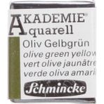Schmincke 554 Akademie Aquarell Yarım Tablet Olive Green Yellowish Sulu Boya