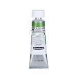 Schmincke Akademie 20 ml 520 Sap Green Guaj Boya