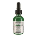 Schmincke Akademie No:552 Leaf Green 50 ml Akrilik Mürekkep