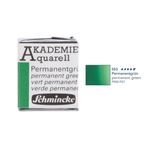 Schmincke Akademie Yarım Tablet Permanent Green Sulu Boya