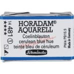 Schmincke Horadam 481 Cerulean Blue Hue Tam Tablet Sulu Boya