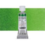 Schmincke Horadam Aquarell 5 ml Sap Green Tüp Sulu Boya