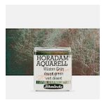 Schmincke : Horadam Aquarell Supergranulation Sulu Boya : Desert Green : Yarım Tablet