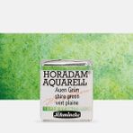 Schmincke : Horadam Aquarell Supergranulation Sulu Boya : Shire Green : Yarım Tablet