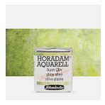 Schmincke : Horadam Aquarell Supergranulation Sulu Boya : Shire Olive : Yarım Tablet