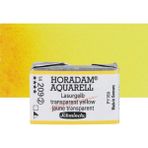 Schmincke Horadam Aquarell Tam Tablet Sulu Boya Translucent Yellow 209 S.2 - Renkli - Standart