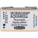 Schmincke Horadam Artist Sulu Boya Tam Tablet 229 Neapelgelb