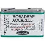 Schmincke Horadam Artist Sulu Boya Tam Tablet 511 Chr. Oxide Green Brilliant