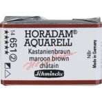 Schmincke Horadam Artist Sulu Boya Tam Tablet 651 Maroon Brown