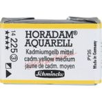 Schmincke Horadam Tam Tablet 225 Cadmium Yellow Medium Sulu Boya
