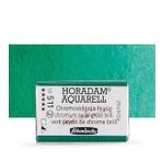Schmincke Horadam Tam Tablet Sulu Boya Chromium Oxide Green Brilliant