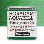 Schmincke Horadam Yarım Tablet Permanent Green Olive Sulu Boya
