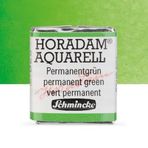 Schmincke Horadam Yarım Tablet Permanent Green Sulu Boya