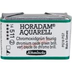 Schmincke : Horadam : Yarım Tablet Sulu Boya : Chromium Oxide Green Brilliant - Renkli