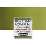 Schmincke Horadam Yarım Tablet Sulu Boya Olive Green Yellowish