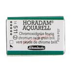 Schmincke Seri 2 511 Chromium Oxide Green Brilliant Horadam Aquarell Artist Tam Tablet Sulu Boya