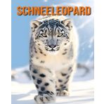 Schneeleopard: Lustige und faszinierende Fakten und Bilder über Schneeleopard