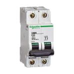 Schneider 3303430243311 Electric 2x1a 6ka C Tipi Otomat