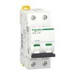Schneider A9F75203 İC60N 2P 3 D Tipi Minyatür Otomatik Sigorta