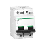 Schneider A9N18360 C120N 2P 63 A C Tipi Otomatik Sigorta